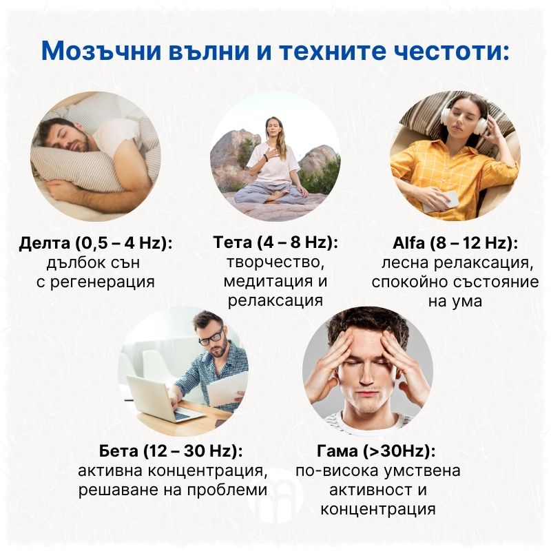 (Bulharština) Mozkové vlny a jejich frekvence